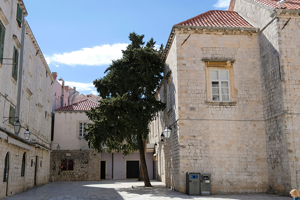 Excursions in Dalmatia: Unveiling the Adriatic’s Coastal Gem